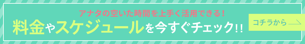料金やスケジュールを今すぐチェック！